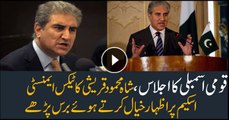 The meeting of the National Assembly, Shah Mehmood Qureshi angry on Amnesty's scheme
