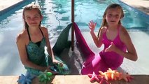 Mermaid Challenge #3 ~ Jacy and Kacy