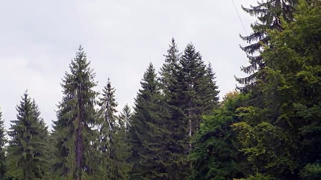 Double Exposure Effect Photoshop Tutorial