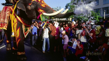 Why Snakes Shed Their Skin सांप के केंचुली उतारने से जुड़े रोचक तथ्य   Seriously Strange