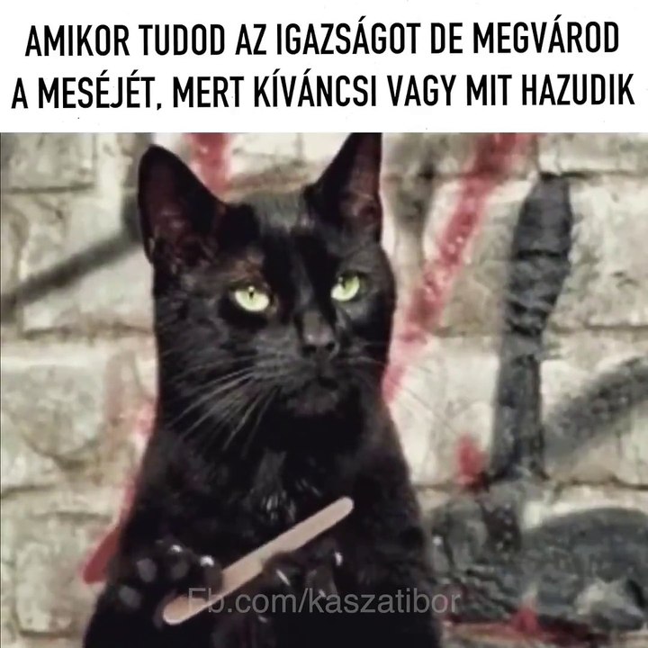 Ilyenkor születnek a legjobb történetek! Ismerős?