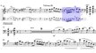 F.Schubert - Arpeggione Sonata D821- Allegro moderato - Cello and Piano - Piano accompaniment