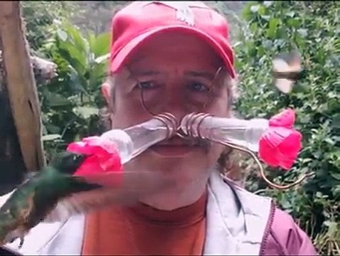 Ils inventent le chapeau qui nourrit les oiseaux pour pouvoir les observer