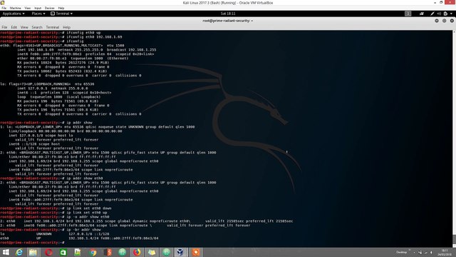 0x15 Linux networking and web tools: curl, wget, ip, ifconfig