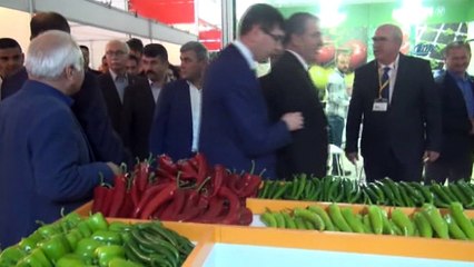 8'inci Fethiye Tarım ve Hayvancılık Fuarı açıldı