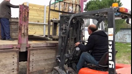 Bilecik'te 5 Kızıl Geyik Doğaya Salındı