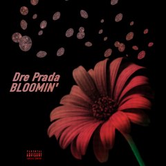 Dre Prada - Bloomin' -  (OFFICIAL VIDEO)