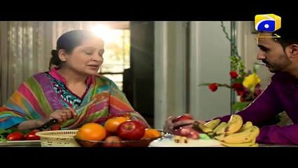 Umm-e-Haniya Episode 22