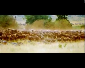 Bir Döneme Damgasını Vuramayan Yarışma - Trophy Türk