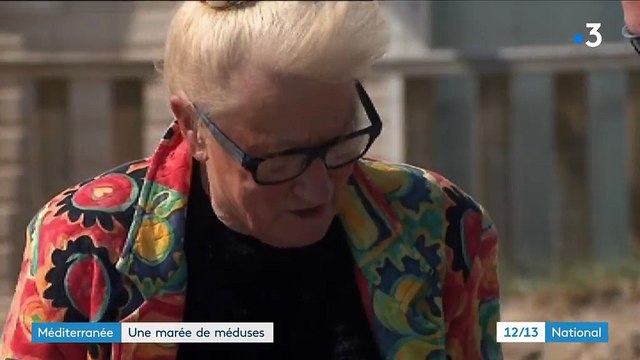 Méditerranée : marée de méduses sur les plages