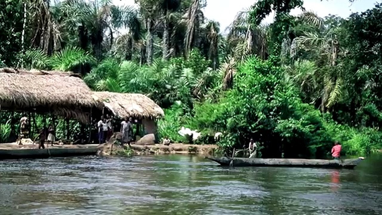 5 РЕДКИХ И ЗАГАДОЧНЫХ СУЩЕСТВ ЖИВУЩИХ НА НАШЕЙ ПЛАНЕТЕ