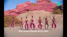 Le dernier clip tout en rose de Janelle Monáe est une ode aux vagins