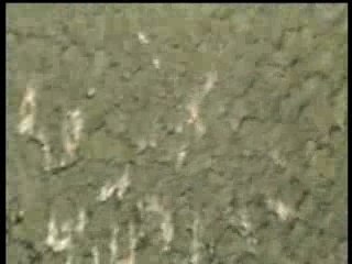 stage SIV à rustrel (sans sam!)