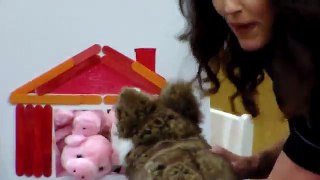 The Three Little Pigs Puppet Show