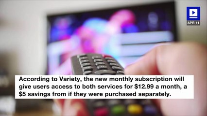 Spotify and Hulu to Offer New Combo Plan