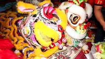 [Múa Lân Sư Rồng] Lễ Kỳ Yên Đình Thần Tân Thới Trung (Hóc Môn) P2|Top World Lion Dance