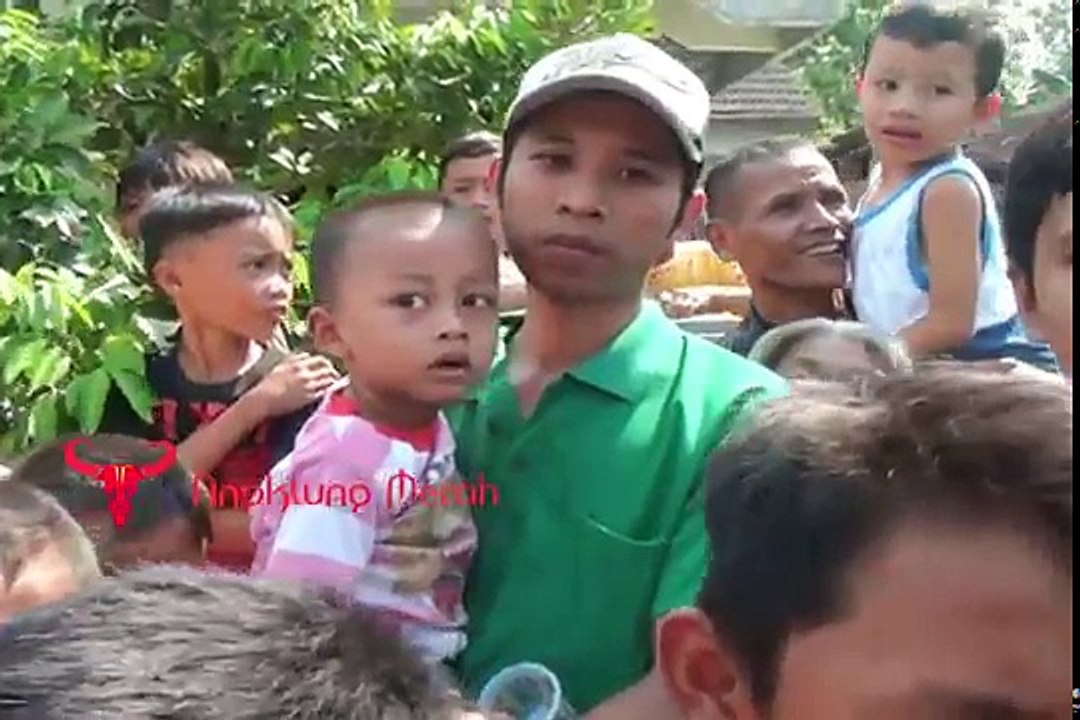 Reog Ponorogo | Bujang Ganong Lucu VS Silat SH Winongo