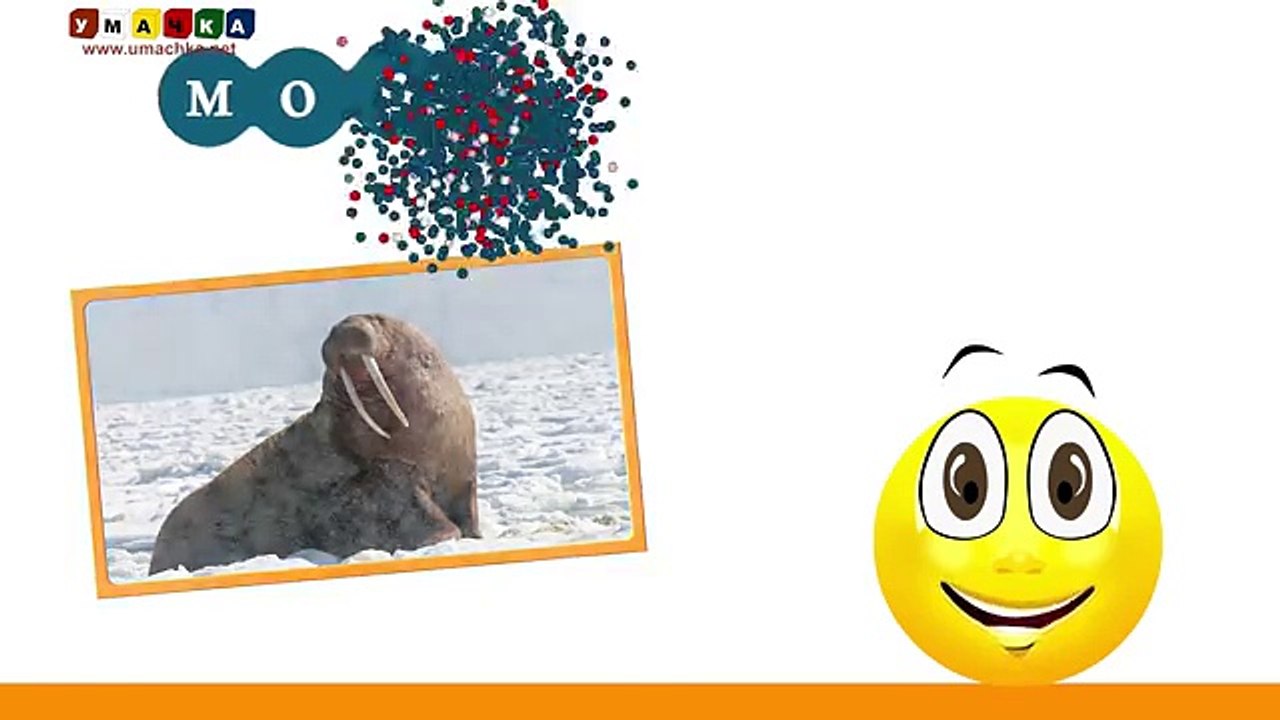 Алфавит русский Учим Буквы и Звуки с Кругляшиком - Буква Ж