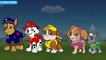 Paw Patrol Finger Family Song Paw Patrol Daddy Finger Song
