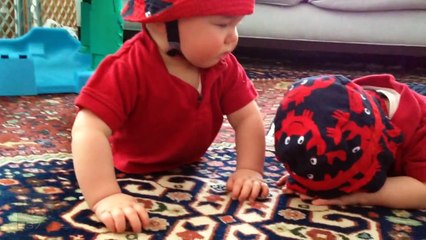 Videos graciosos de bebés