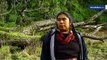Documental: WIÑOL ÑI LAN La Muerte del Ciclo.Un viaje al interior del mundo espiritual mapuche y de algunos de sus lugares sagrados, en donde se practican cer