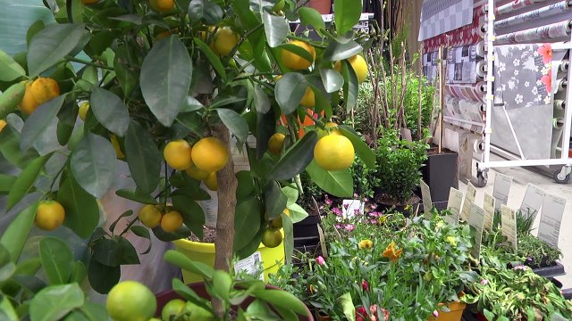 Alpes de Haute Provence : 10 millions investis et 20 emplois créés , rencontre avec Nicolas Garcia le PDG du nouvel intermarché de Peipin