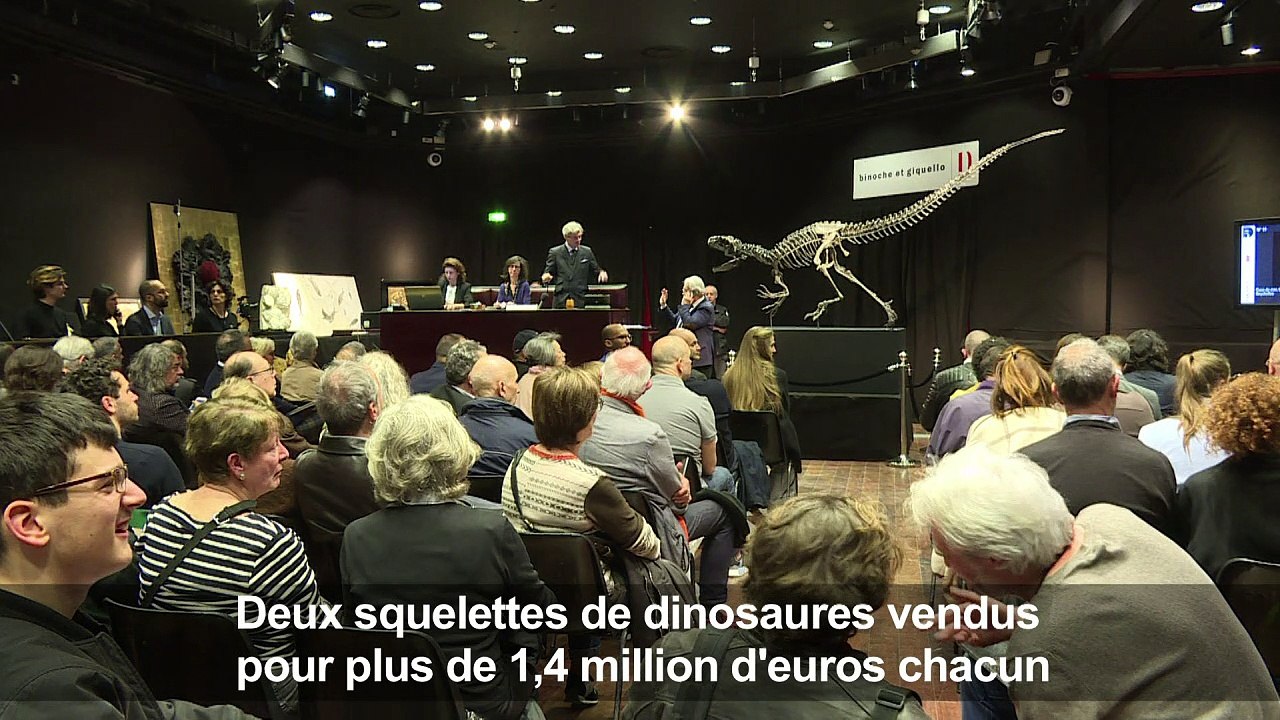 Près de 3 millions d'euros pour deux squelettes de dinosaures
