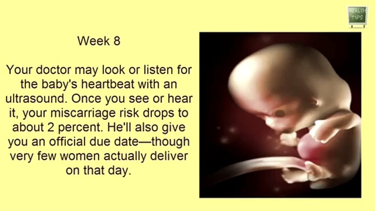 Fetal development from 1 week to 40 weeks in mother womb || pregnancy week by week