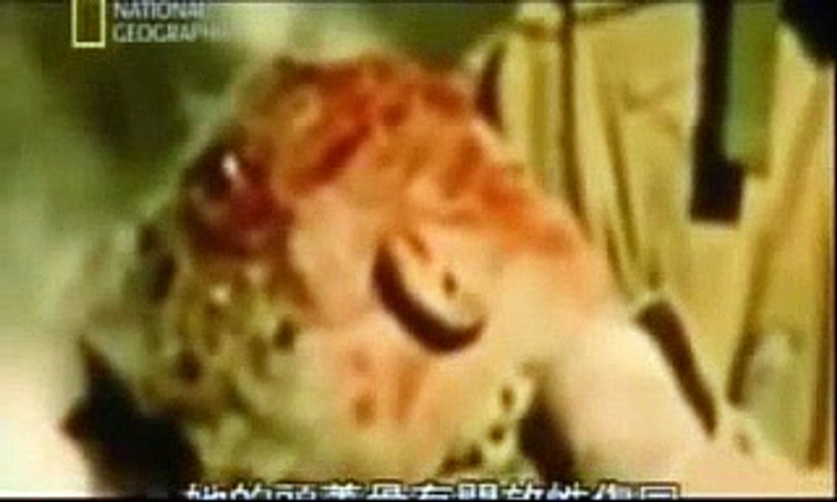 Zero Hours_ Oklahoma disaster