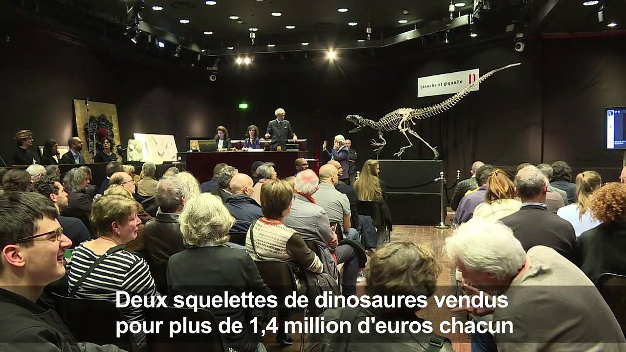 Près de 3 millions d'euros pour deux squelettes de dinosaures