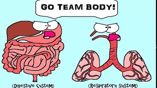 (OLD VIDEO) Human Body Systems: The 11 Champions