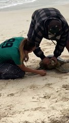 Fisherman Caught Sea Turtle and Released It