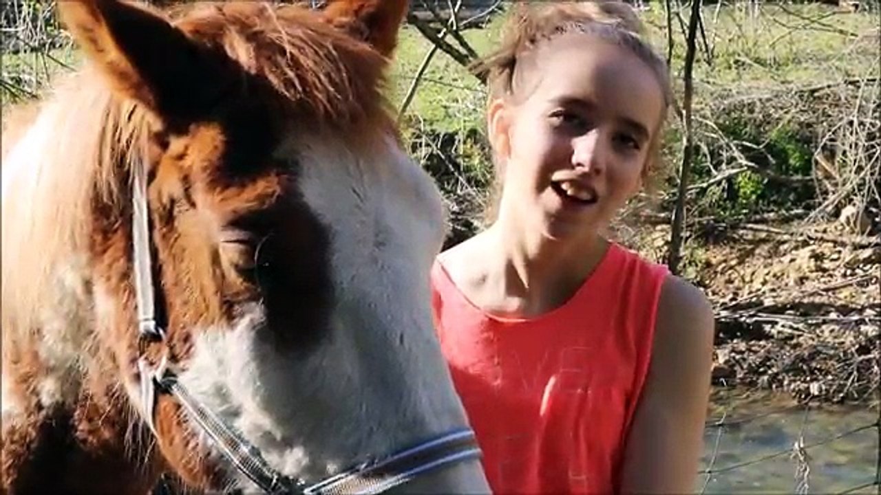 How I found Legend! | My Horse Hunt