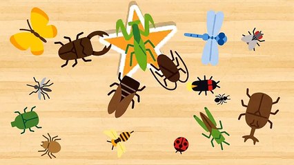 【15分連続】いないいないばぁっ 動画まとめ★赤ちゃん笑う、喜ぶ、泣きやむpeekaboo animation