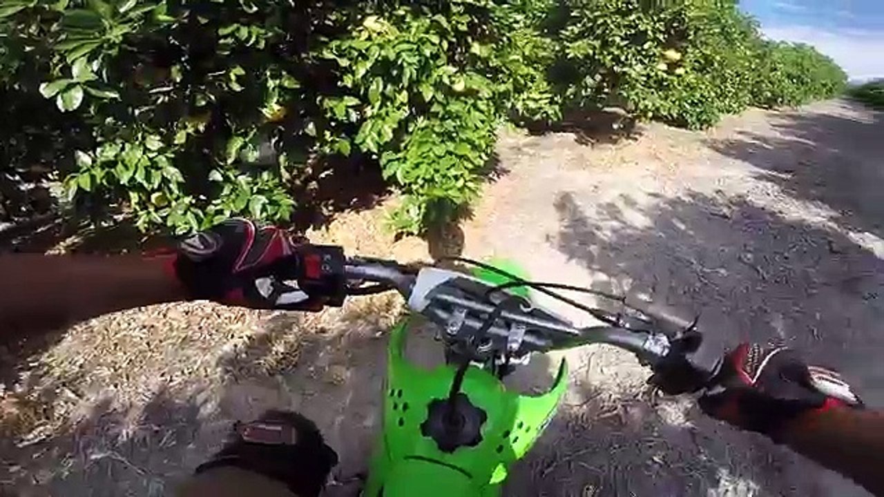 MY NEW PITBIKE!!!