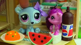 LPS Mommies Series Littlest Pet Shop - Here Comes Beverly - Part 66 Cookieswirlc Video
