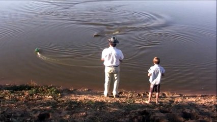 Un crocodile vient manger le bateau télécommandé d'un enfant... Dommage!