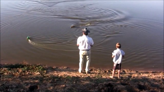 Un crocodile vient manger le bateau télécommandé d'un enfant... Dommage!