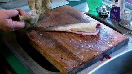 Quand un morceau de poisson se met à bouger... Terrifiant