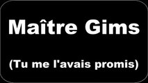 Maitre Gims - Tu me lavais promis (Paroles/Lyrics)
