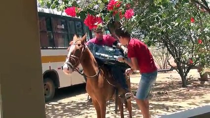 Guilherme, o pesti di minino, pegou a televisão do Avô e botou a culpa no Haroldo....kkkkk