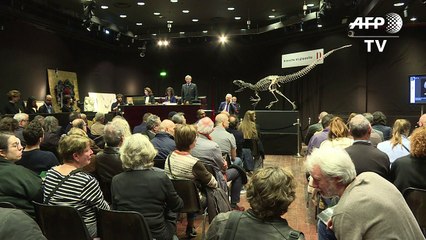 Dinossauro de enfeite