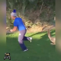 Animales corriendo detrás de las personas,para reír