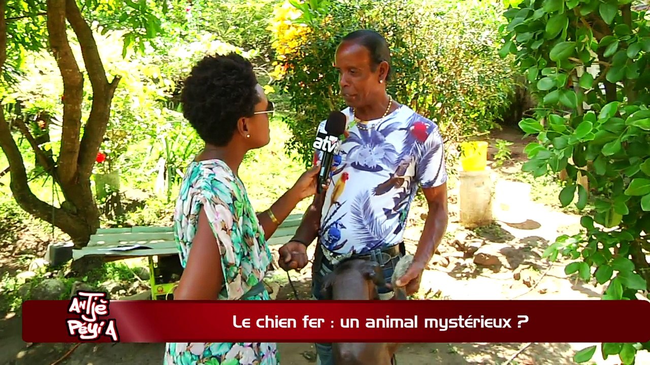 ATPA 16 04 18 CHIEN FER MYSTERIEUX MOISE UDINO OK