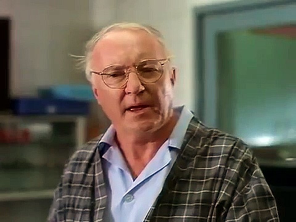 Belleza enemiga / Treacherous Beauties (1994) [Español] part 2/2