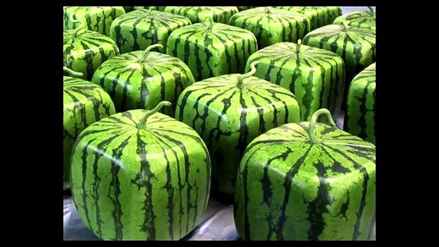 Что, если Земля будет кубом, а не шаром?