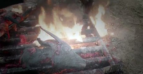 Molly, une femme au combat S03E04  FRENCH - Part 01