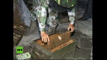 Un chino se 'pone' más de un millón de abejas y bate un récord mundial