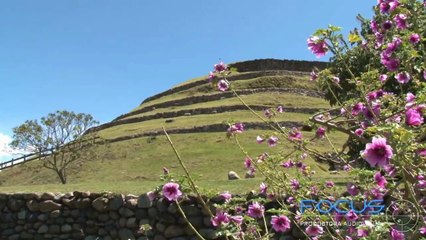 ECUA CHICHA MIX. STAR BAND; ROCK STAR & TRIO FRONTERISO.
