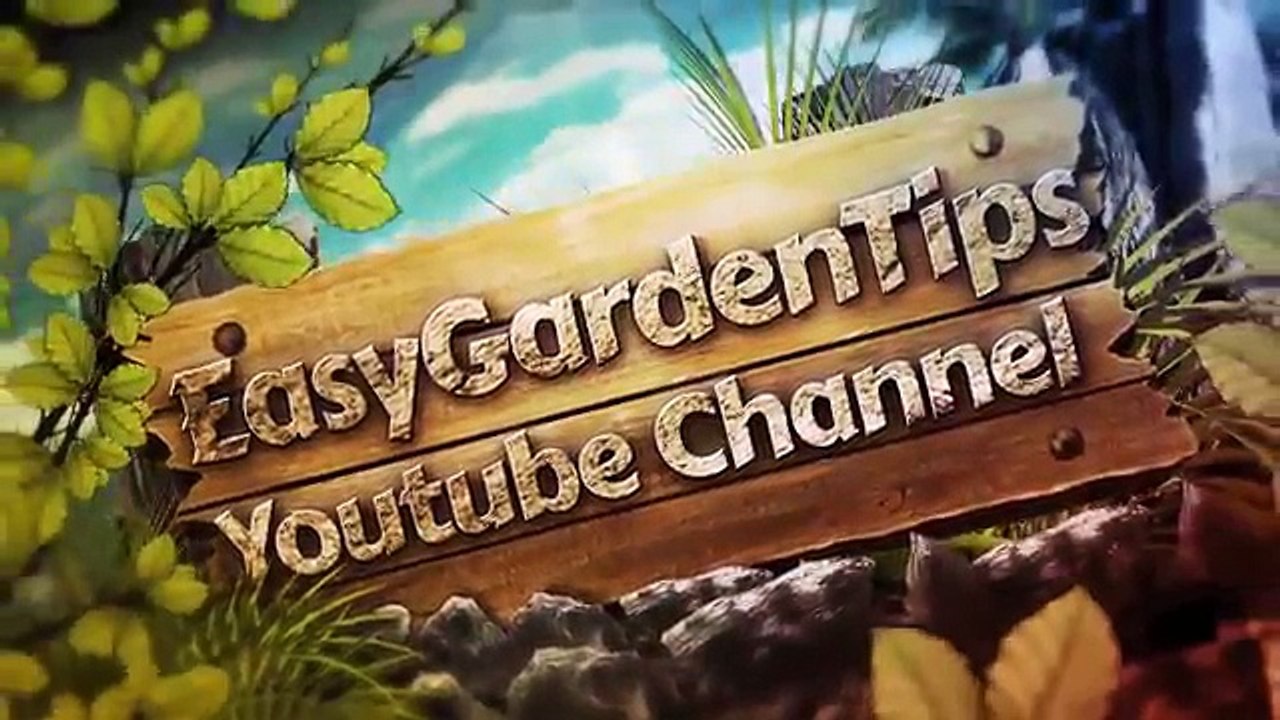 Aquaponics System - $75 - How We Easily Build Aquaponics Garden